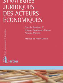 Stratégies juridiques des acteurs économiques